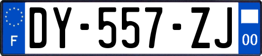 DY-557-ZJ