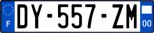 DY-557-ZM