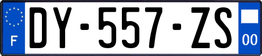 DY-557-ZS