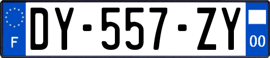 DY-557-ZY
