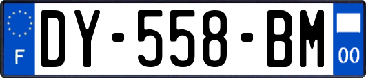 DY-558-BM