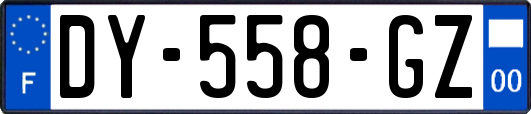 DY-558-GZ