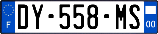 DY-558-MS