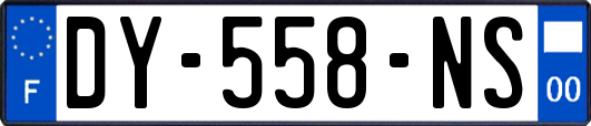 DY-558-NS