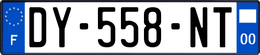 DY-558-NT
