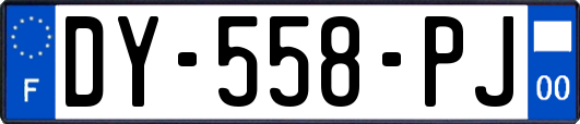DY-558-PJ