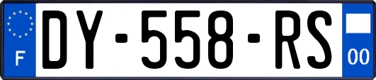 DY-558-RS