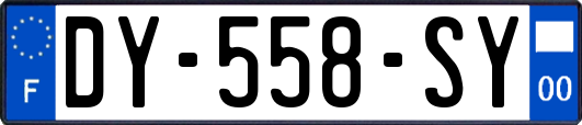 DY-558-SY