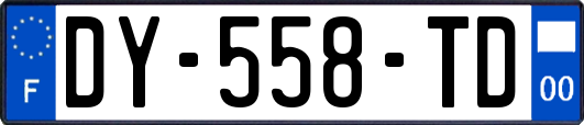 DY-558-TD