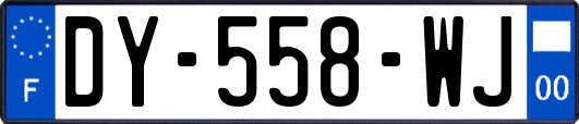 DY-558-WJ