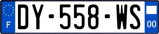 DY-558-WS