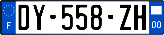 DY-558-ZH