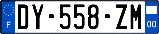 DY-558-ZM