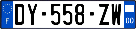 DY-558-ZW