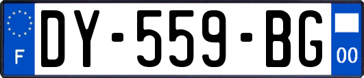 DY-559-BG