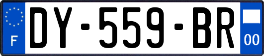 DY-559-BR