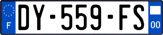 DY-559-FS