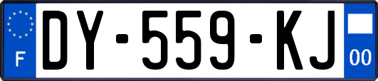 DY-559-KJ