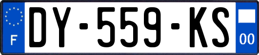 DY-559-KS
