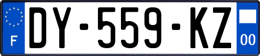 DY-559-KZ