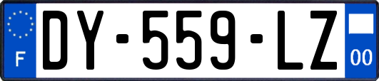 DY-559-LZ