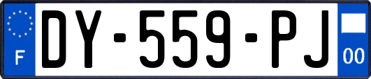 DY-559-PJ