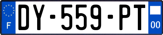 DY-559-PT