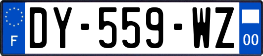 DY-559-WZ