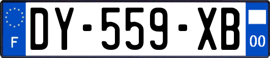 DY-559-XB