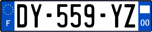 DY-559-YZ