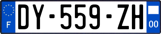 DY-559-ZH