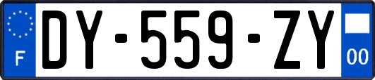 DY-559-ZY
