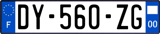 DY-560-ZG