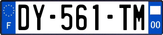 DY-561-TM