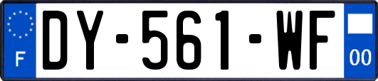 DY-561-WF