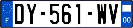 DY-561-WV