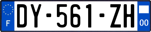 DY-561-ZH