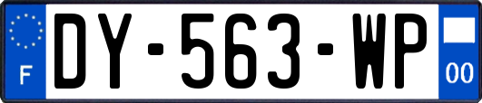 DY-563-WP