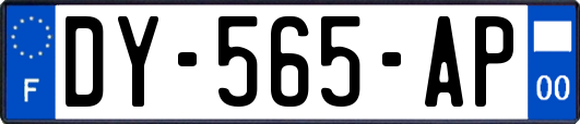 DY-565-AP