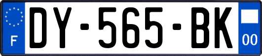 DY-565-BK