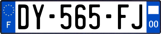 DY-565-FJ