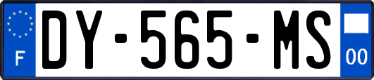 DY-565-MS