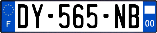 DY-565-NB