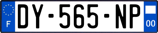 DY-565-NP