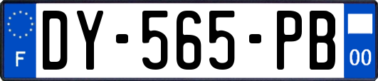 DY-565-PB