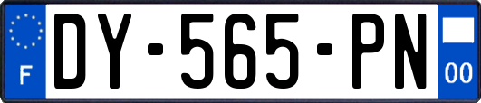DY-565-PN