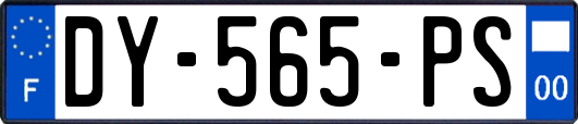 DY-565-PS