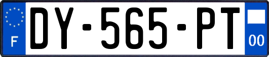 DY-565-PT