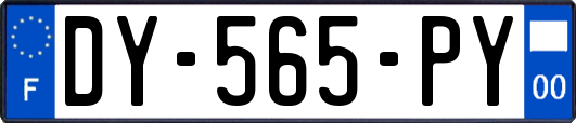 DY-565-PY