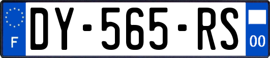 DY-565-RS